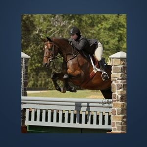 Meet your Posher, Dianne